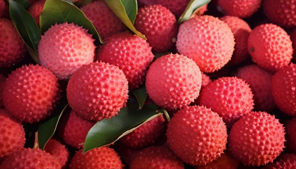 Lychee berry