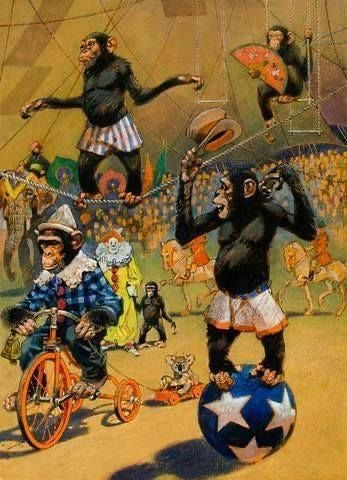 Le singe de cirque 🐒