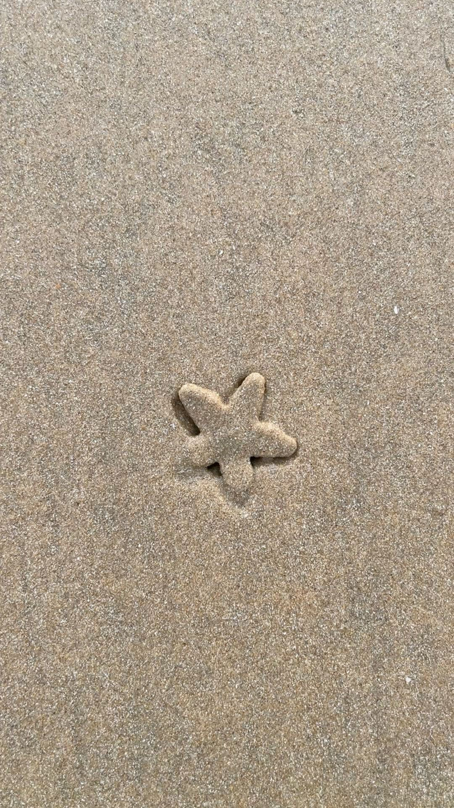 Body mist ❄️🏖️ Flocon de sable